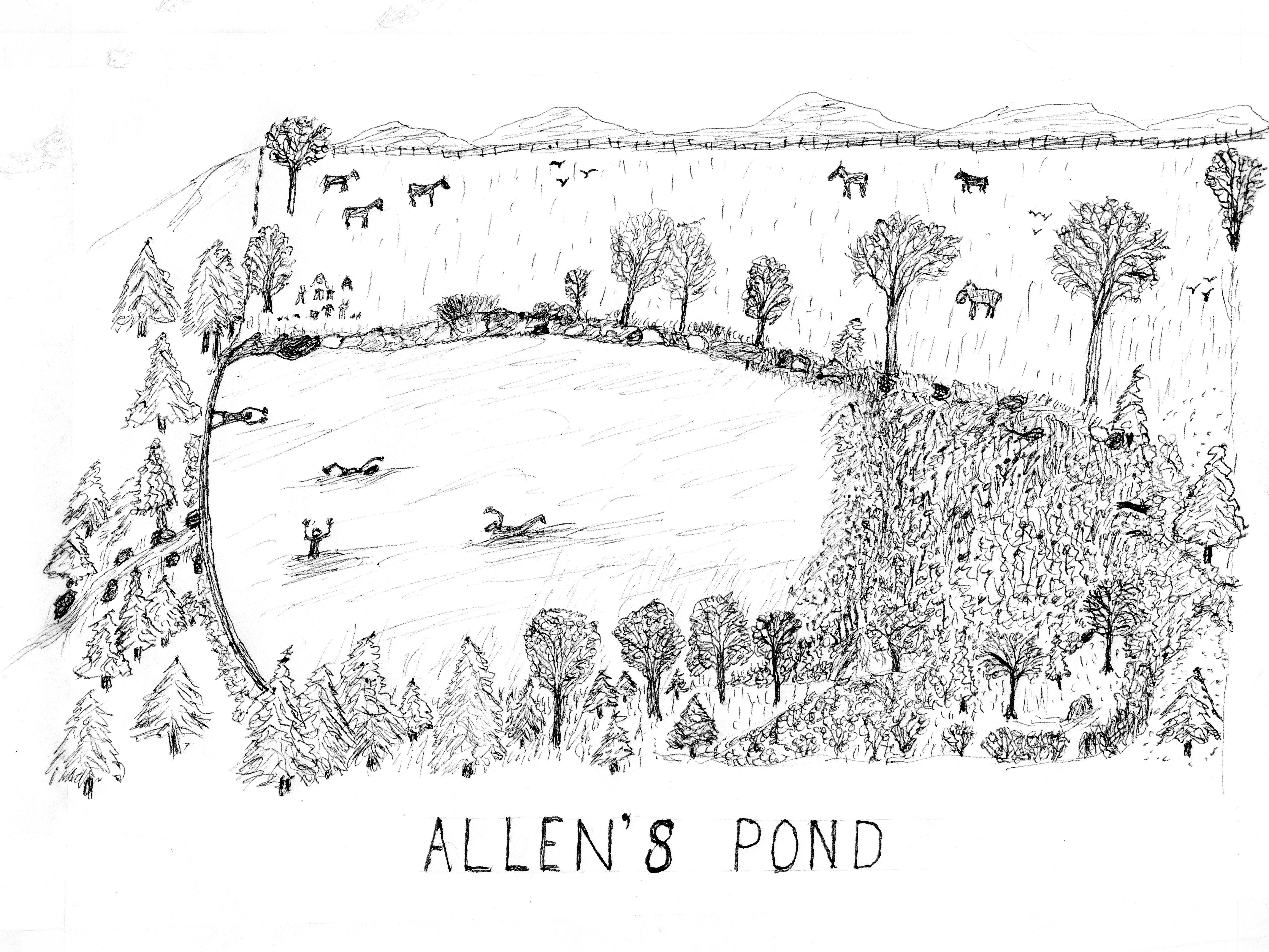 Allen's Pond